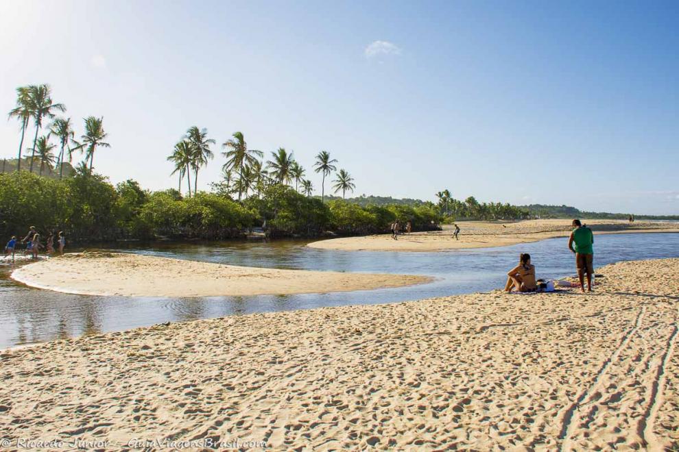 Imagem da piscina natural e ao fundo lindos coqueiros na Praia dos Nativos.